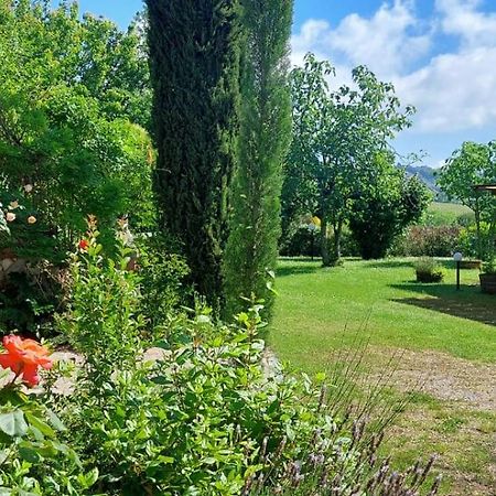 Chianti - Lovely Cottage With Parking & Garden! Castelnuovo Berardenga Eksteriør billede