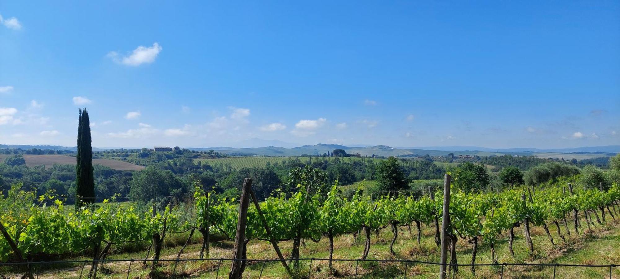Chianti - Lovely Cottage With Parking & Garden! Castelnuovo Berardenga Eksteriør billede